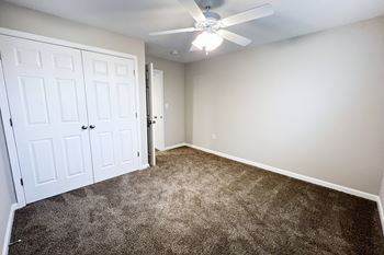 Ceiling fan